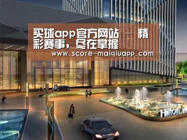 案例展示二