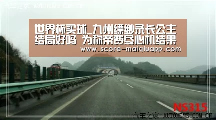 手机买球官网